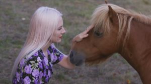 Can We Find Inner Peace through Horse Therapy?