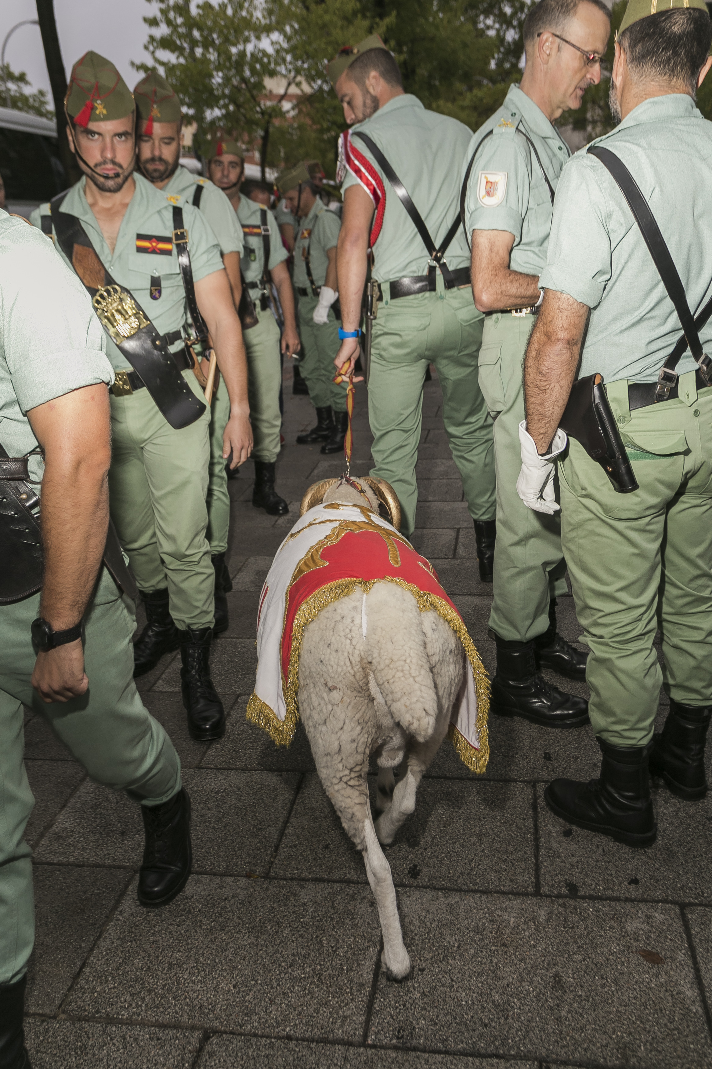 12 octubre cabra legión