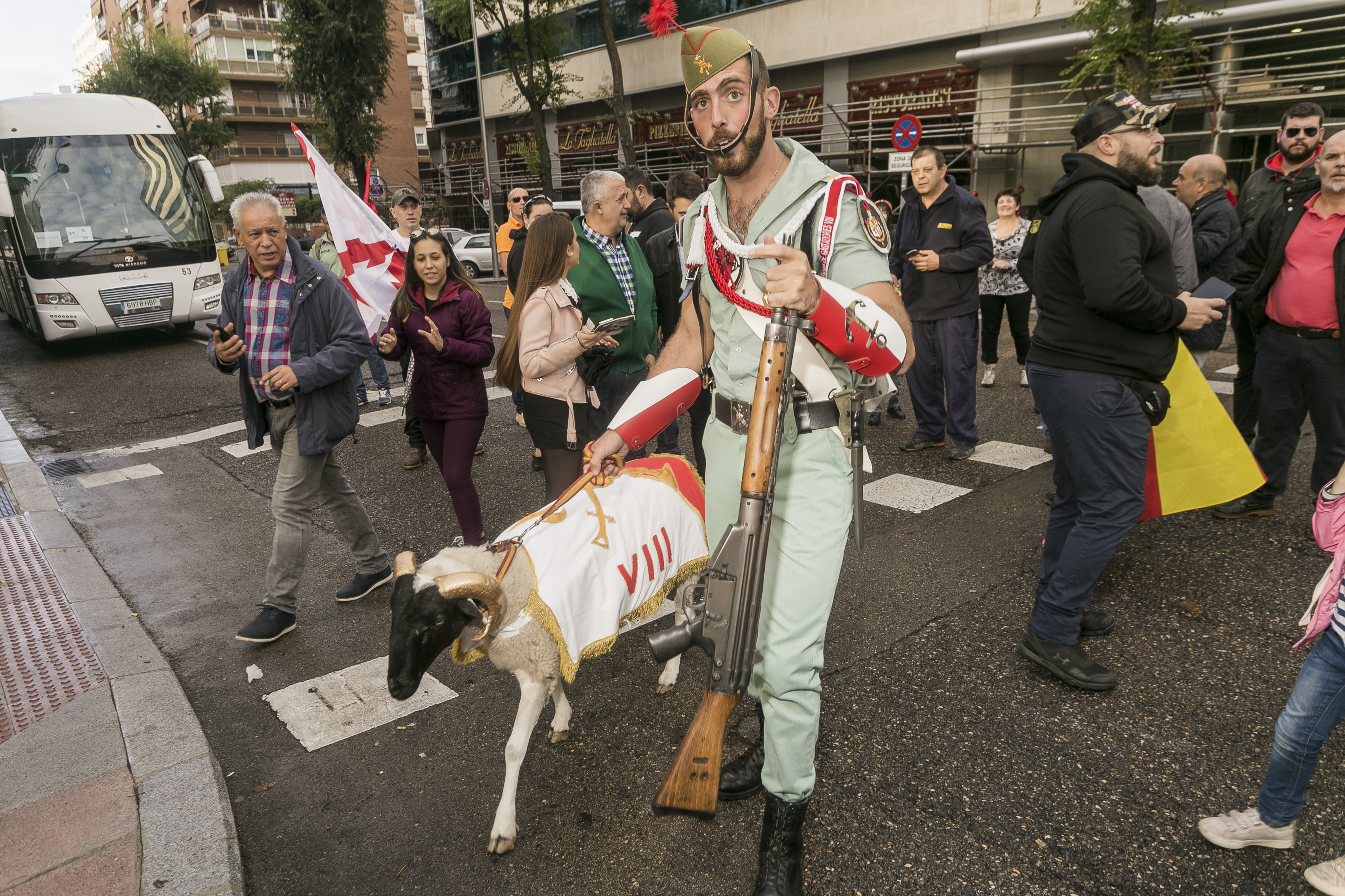 cabra legión española