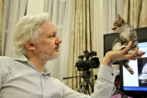 Julian Assange di Kedubes Ekuador London bersama kucing peliharaannya.