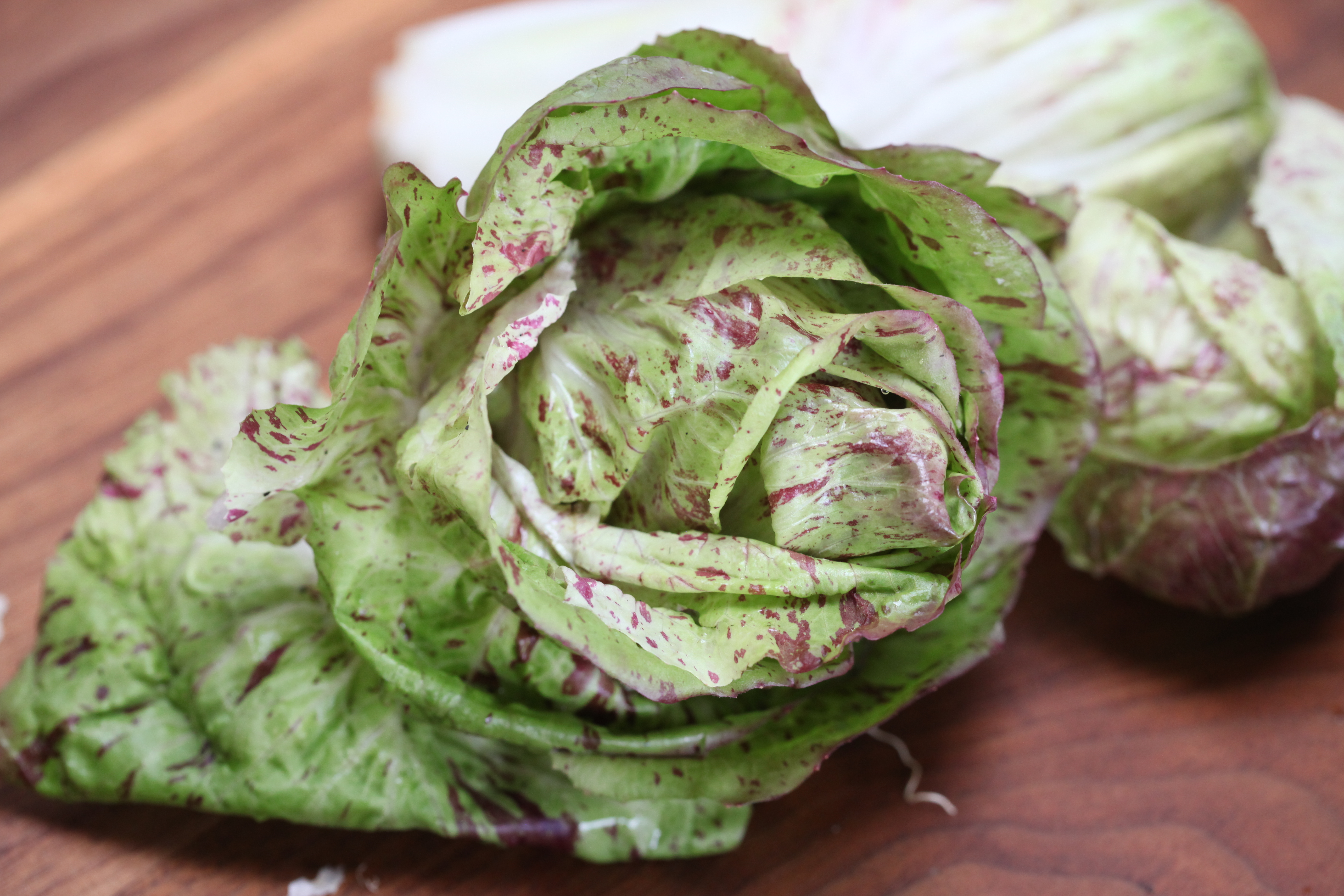 Castelfranco radicchio