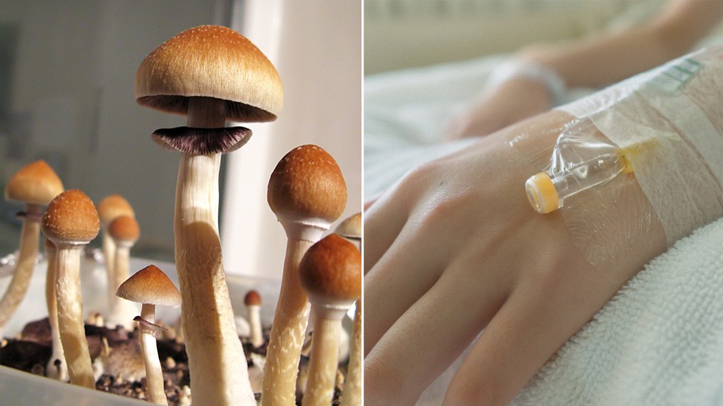 Image of Psilocybin mushroom and sick patient.