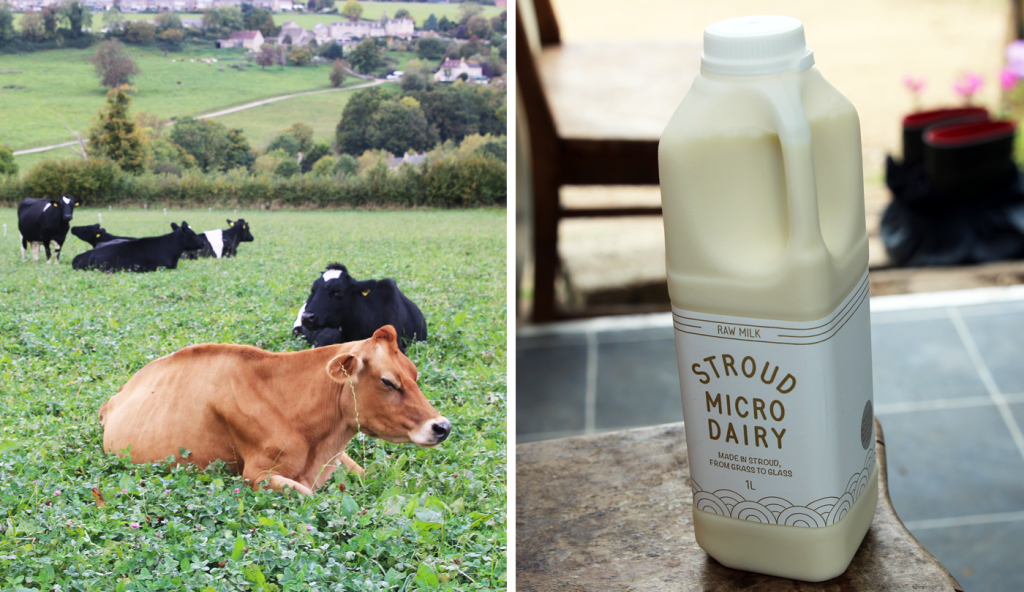 What It’s Like to Run a Dairy Farm When No One Drinks Milk Anymore