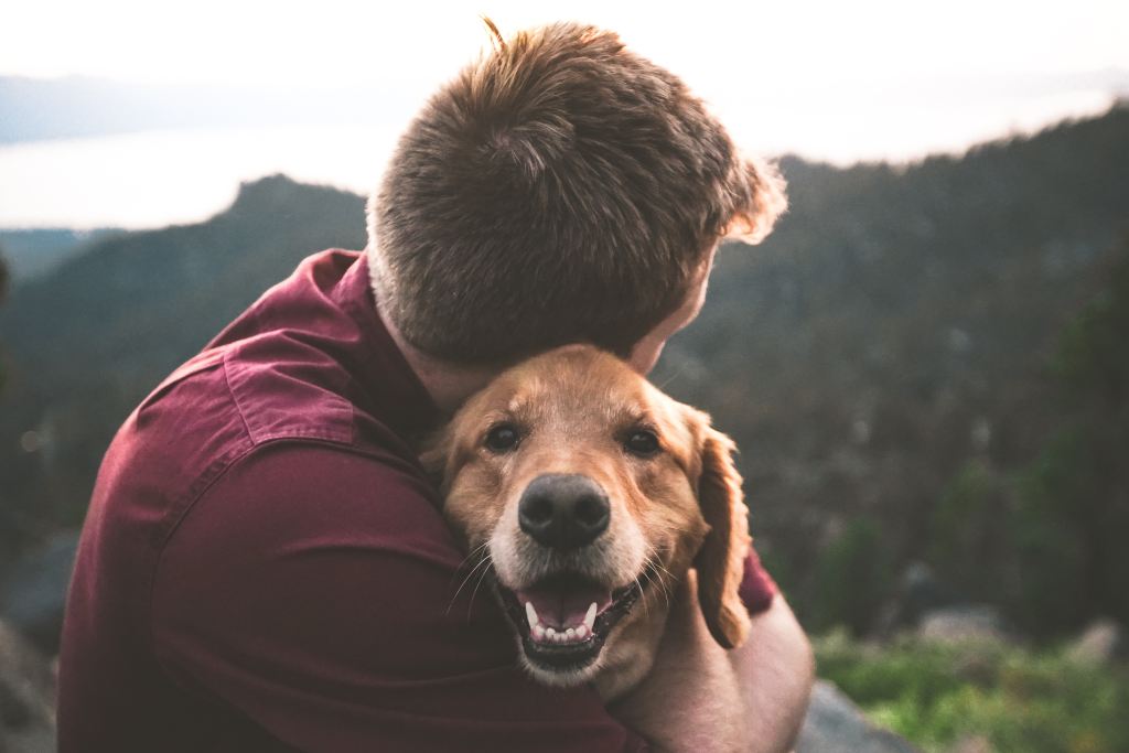 Dog with his owner