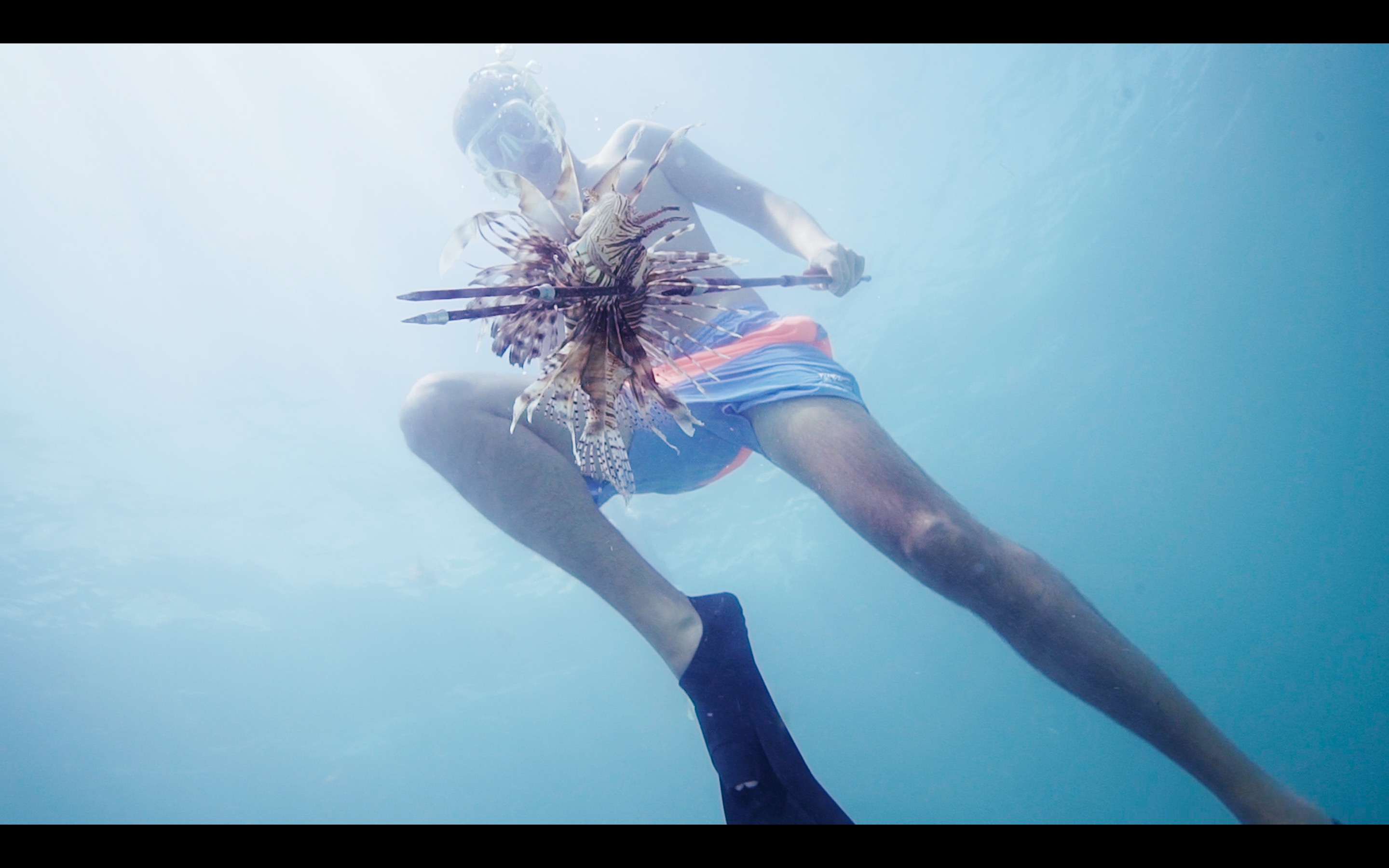 Ryan Chadwick spears a lionfish off the shores of Key Largo/VNT