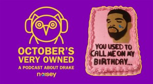 Drake's birthday party