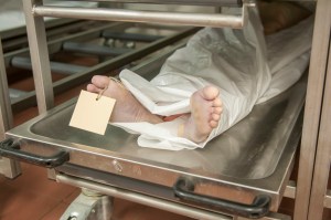 embalmer 10 questions