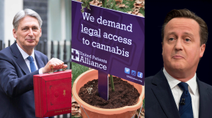 budget weed cameron