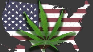 A cannabis leaf imposed on a map of the US.