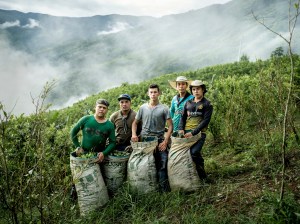 campesinos de coca en colombia