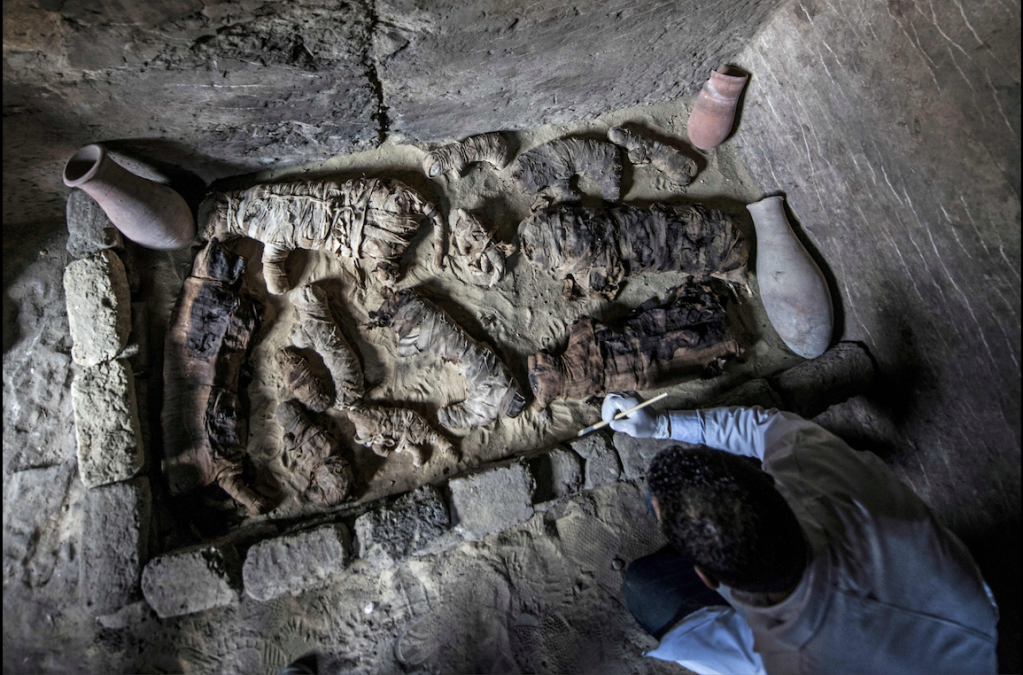 Mumi kucing berusia 4.500 tahun di Saqqara, Mesir.