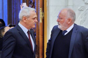 dragnea cu timmermans