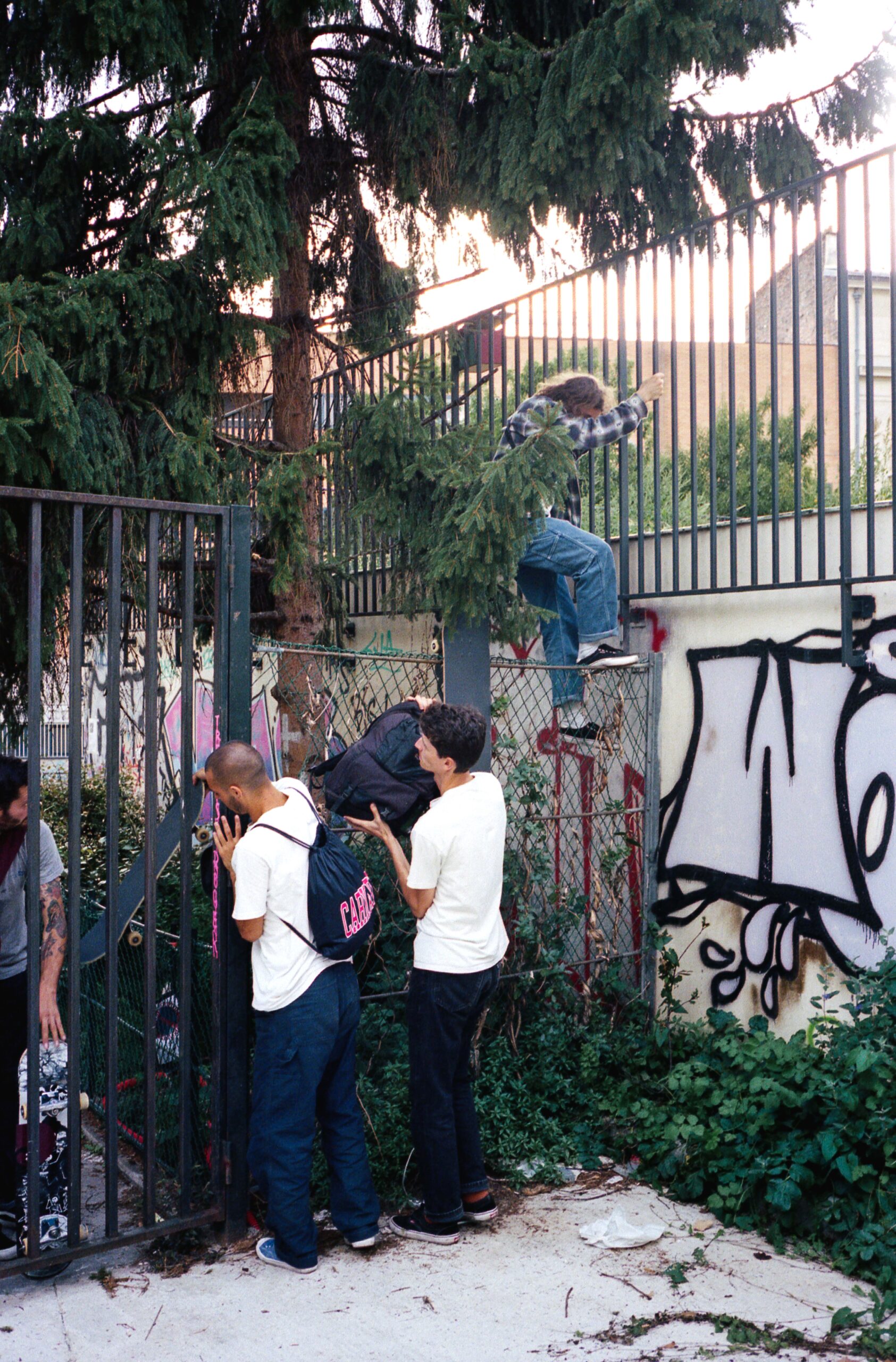 Des skaters