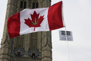 cannabis light canada