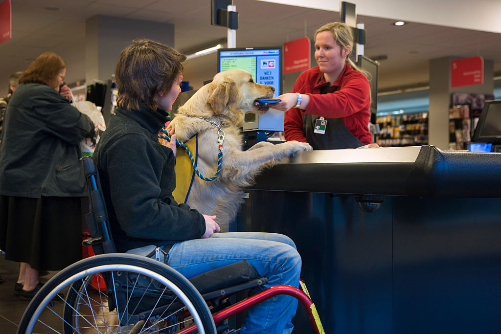 Service dog and owner