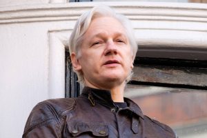 Julian Assange: graue