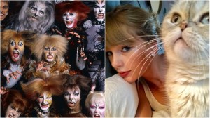 The cast of 'Cats and Taylor Swift