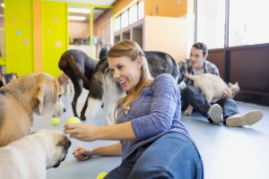 doggie daycare