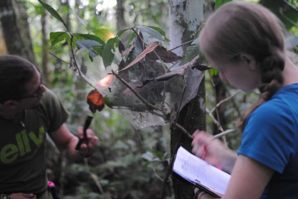 The researchers in the field