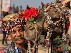 Kontes Kecantikan Unta di Pushkar