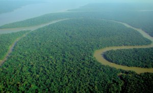 An aerial image of the Amazon rainforest