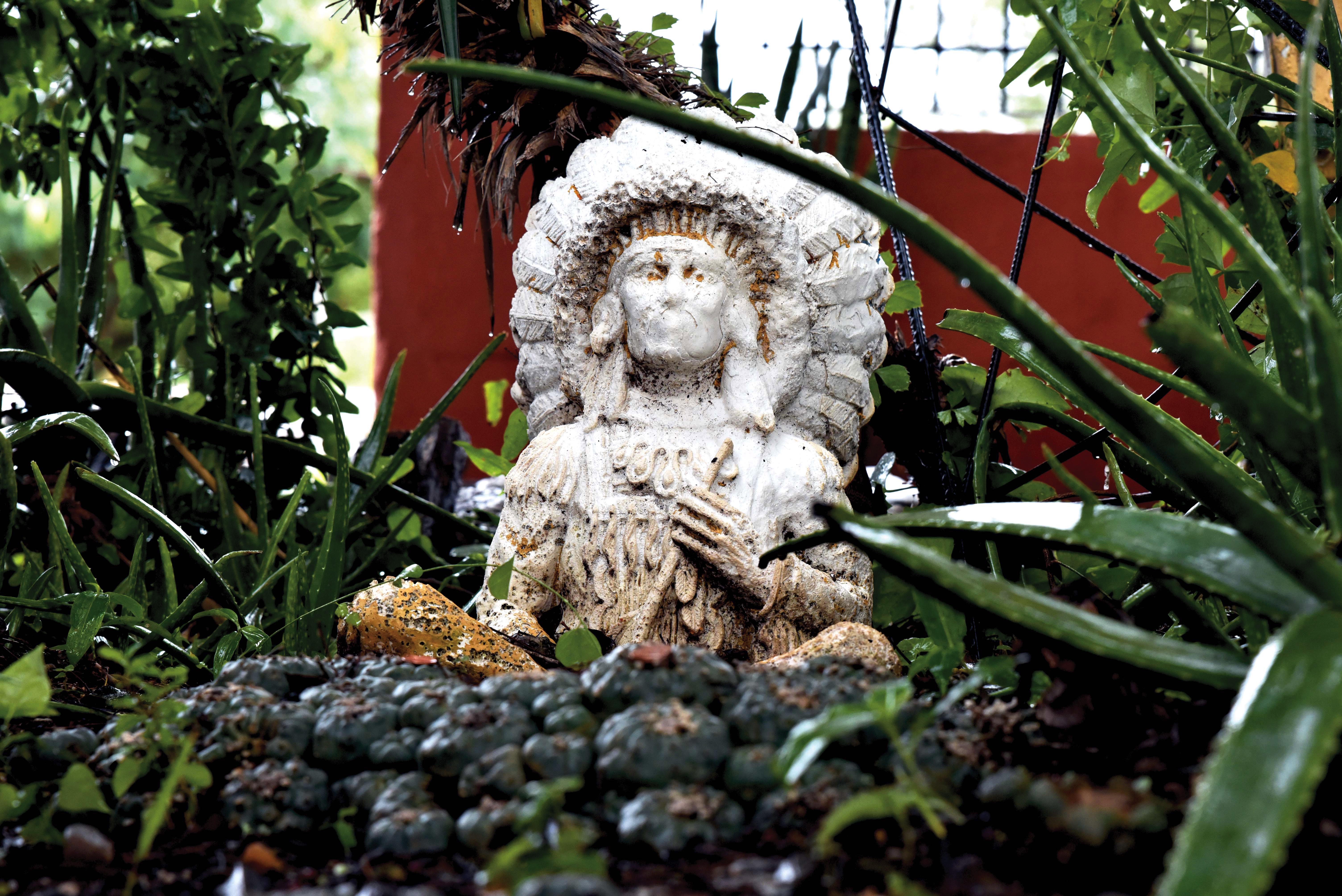 Peyote growing near a statue