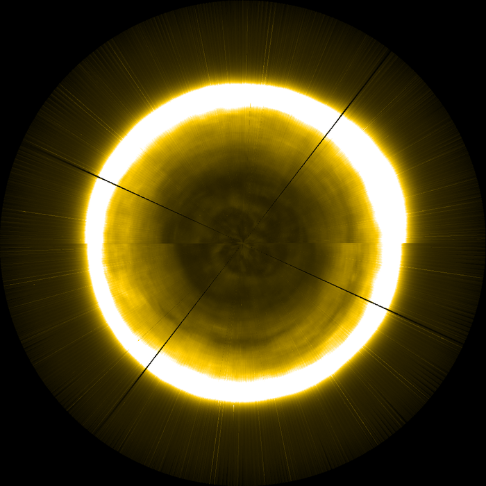 The Sun's North Pole