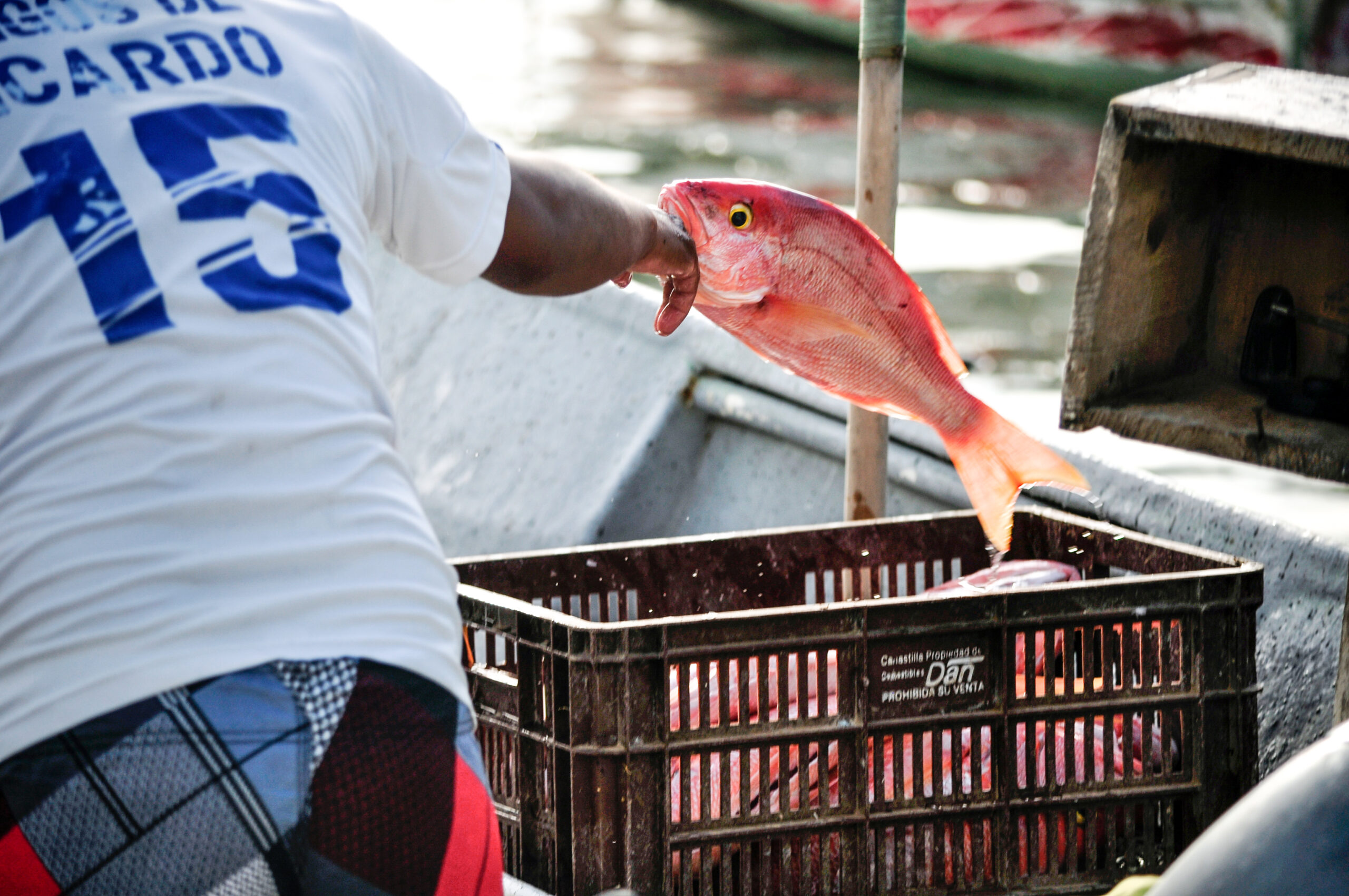 1545064239431-PESCADO-TAGANGA