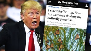 Trump voter likes butterflies, is mad at Trump for his (promised) wall.