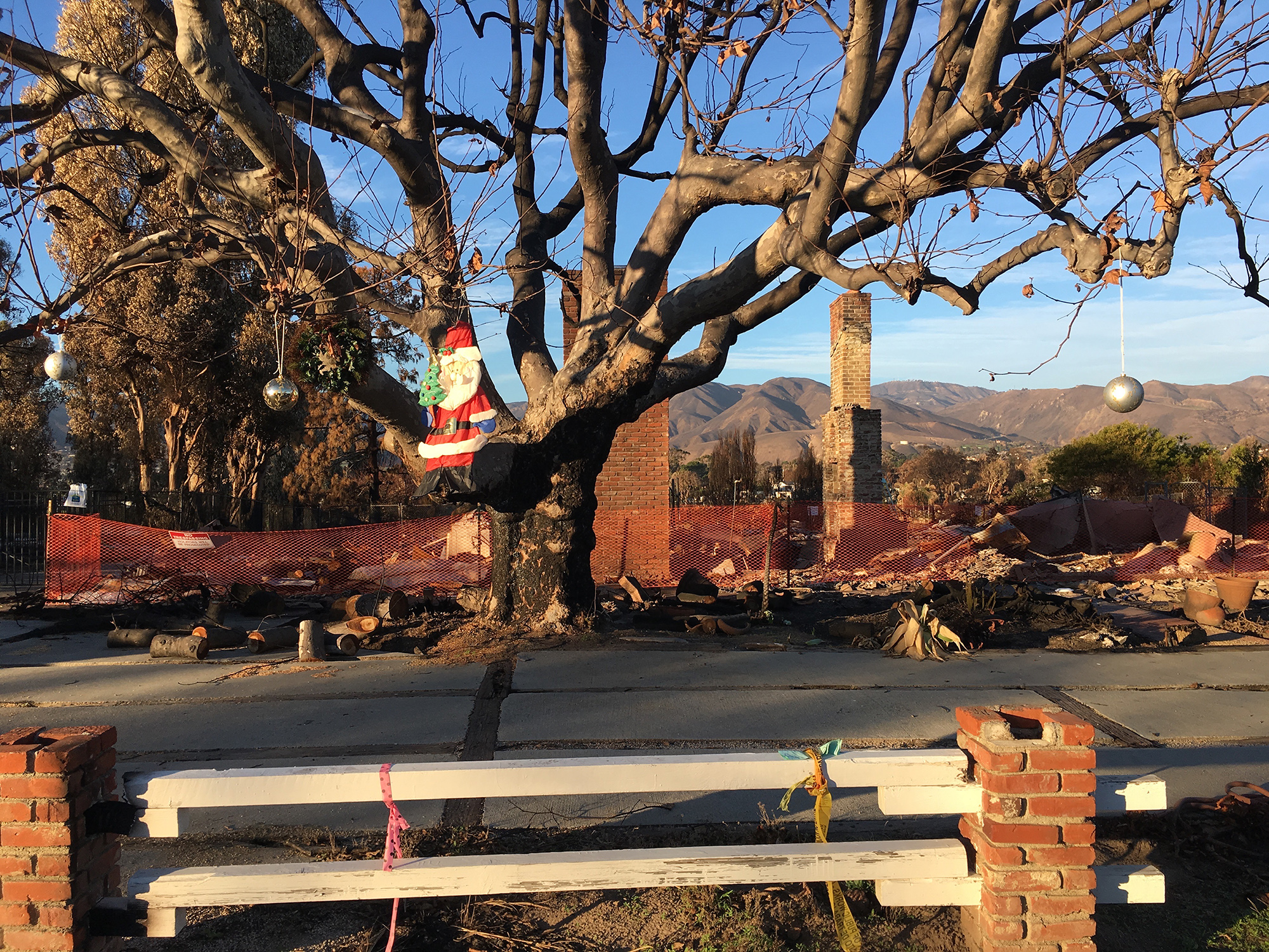 Christmas decorations hanging from a tree in front of a burned down house