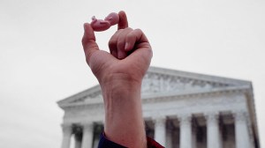 fetus in front of capitol building