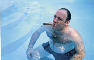 James Gandolfini ca Tony Soprano