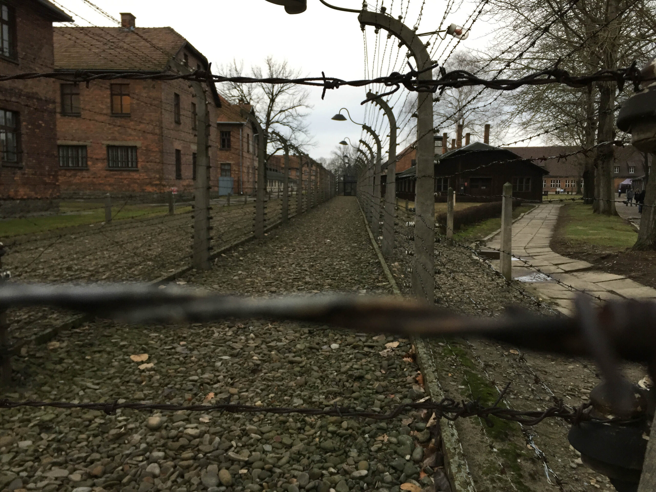 auschwitz