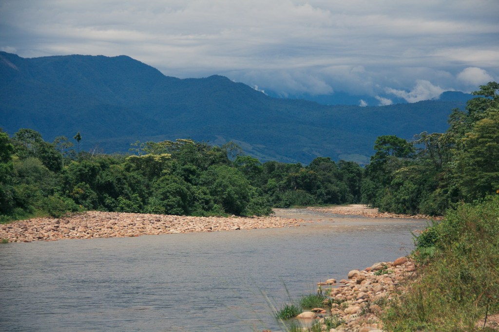 Liderazgo en riesgo: la amenaza contra los líderes ambientales del Meta