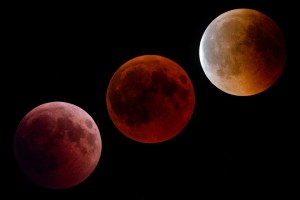 Images of the July 2018 total lunar eclipse.​ Image: Bernd Thaller