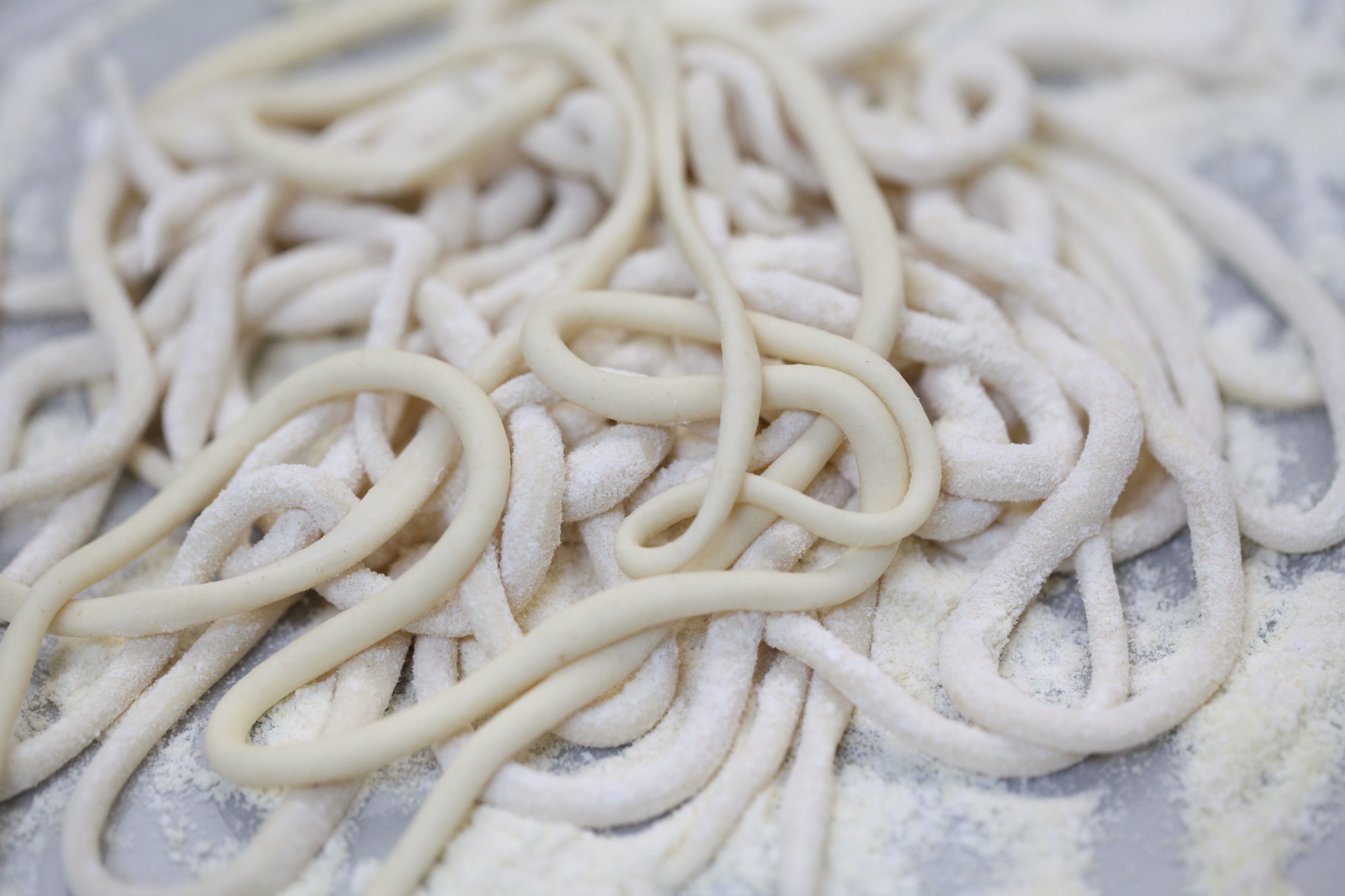 fresh pici noodles