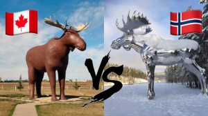 The Canadian moose, left,the Norwegian Moose, right.