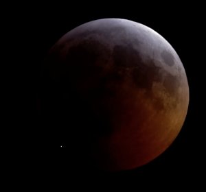 Il minuscolo puntino di luce in basso a sinistra è un meteorite che si schianta sulla Luna durante l'eclissi del 20/21 gennaio. Immagine: Griffith Observatory