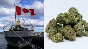 A fishing boat and a mound of weed.