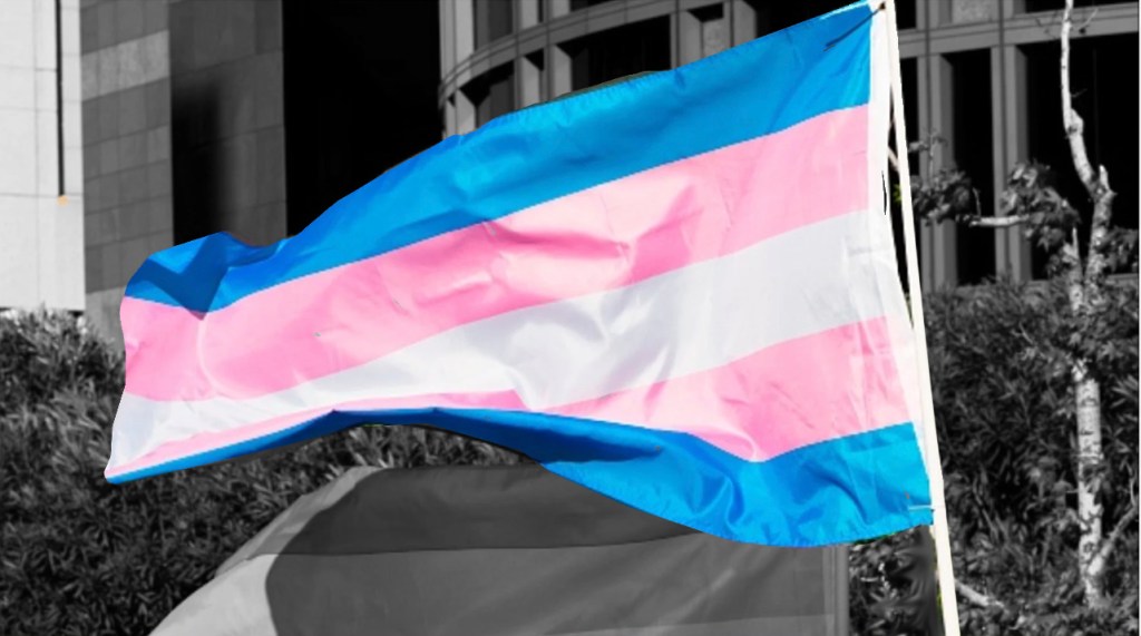 flagtrans