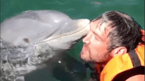 Alex Ovechkin playing with dolphins in Cuba.