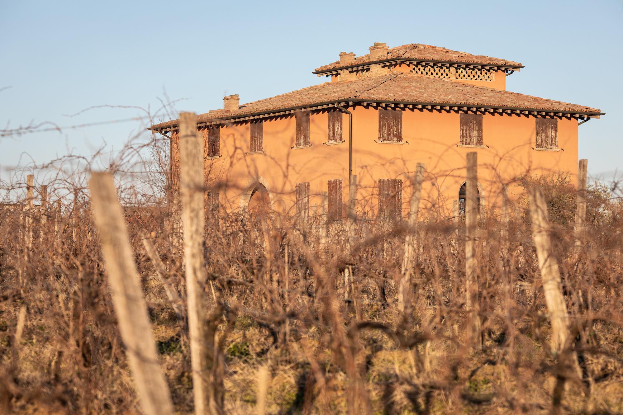 Azienda-Graziano