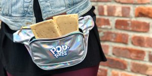 pop tarts fanny