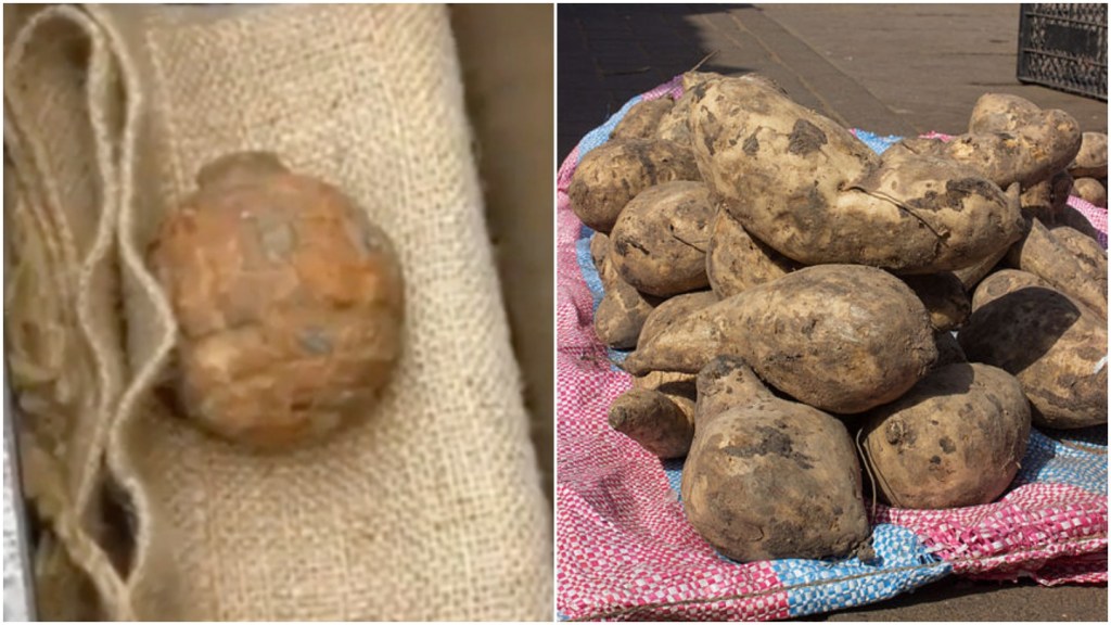 A WW1-era hand grenade and a pile of potatoes