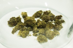 Tallerken med fine, små nuggets af weed