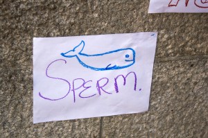 sperma