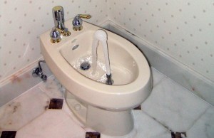 bidet