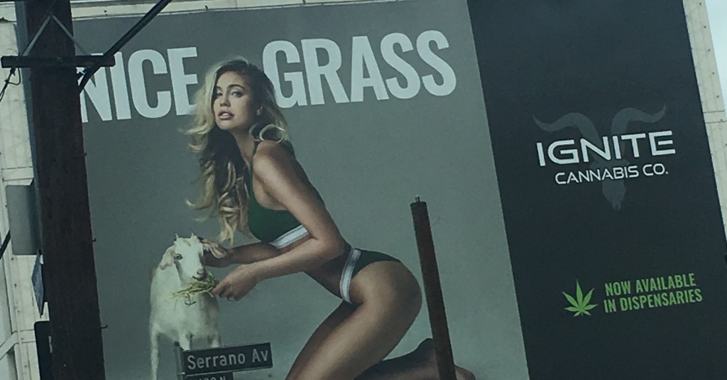 Dan Bilzerian sexist billboard weed