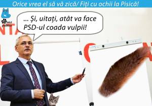 Dragnea pisici politice