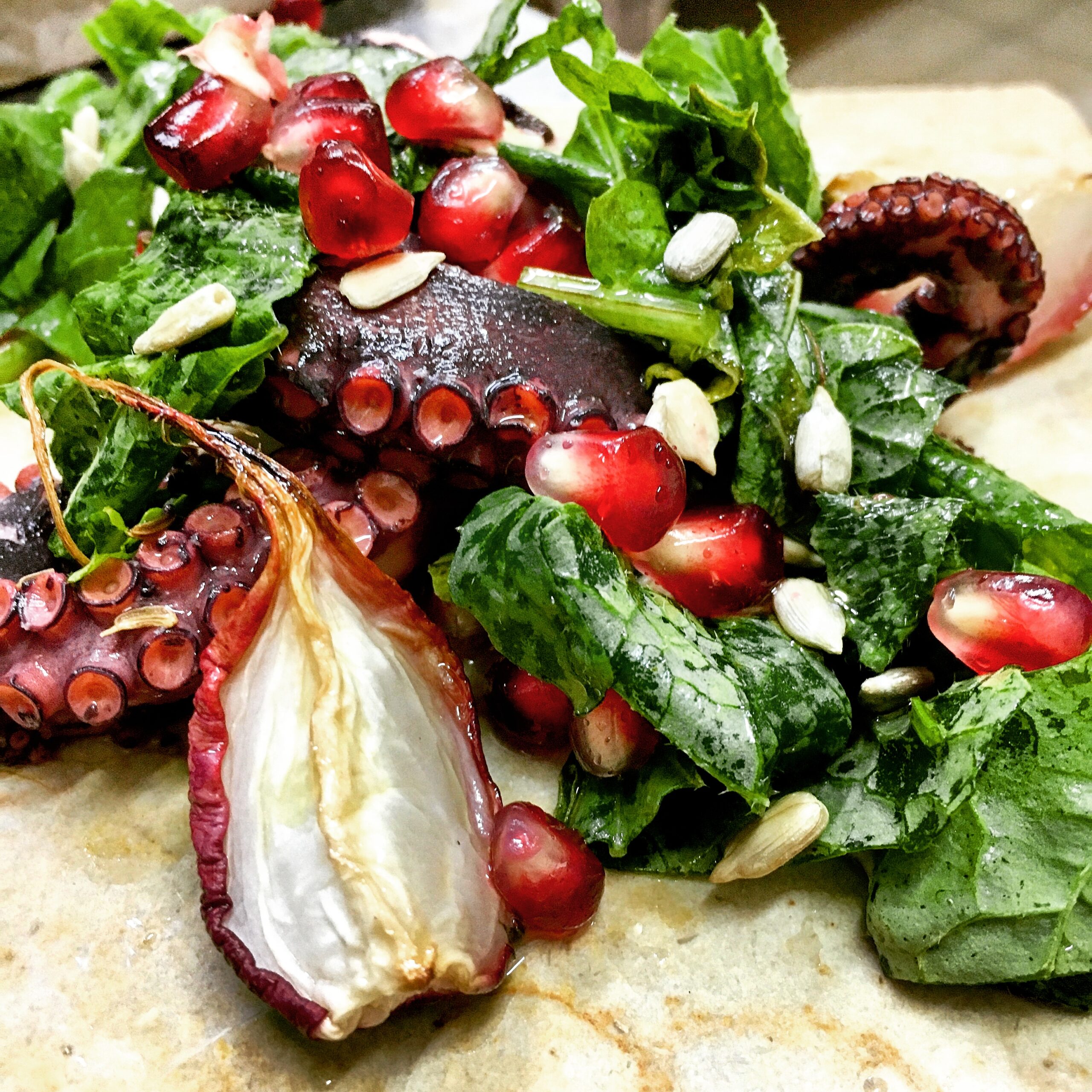 1549969299052-Octupus-toasted-radishes-radish-leaves-and-pomegranate